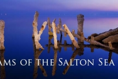 Dreams of the Salton Sea Folio - Title Image